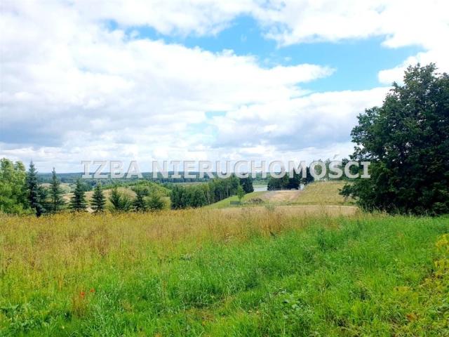Działka 3 000 m², Szarek