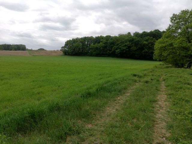 Działka 3 000 m², Poznań