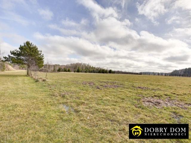 Działka 3 000 m², Pasynki