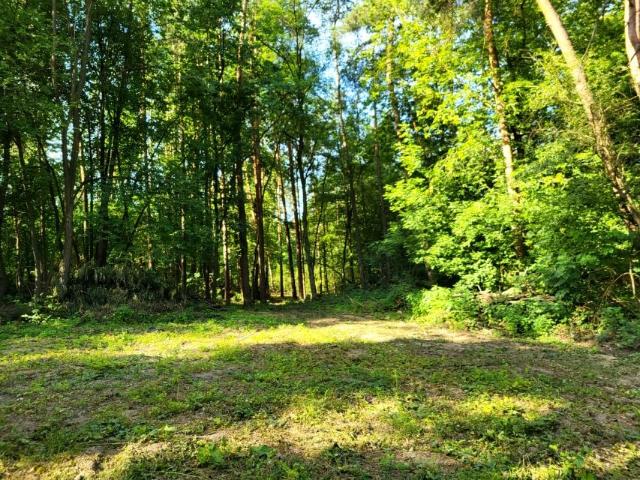 Działka 3 000 m², Piaseczno