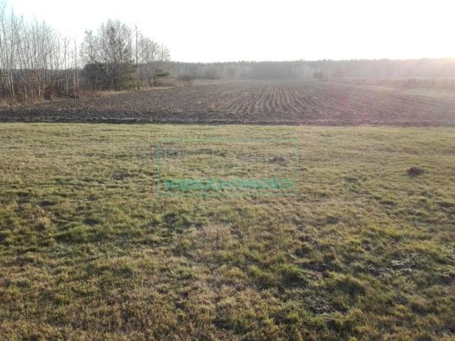 Działka 3 000 m², Pruszków