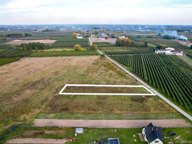 Działka 3 000 m², Romanów