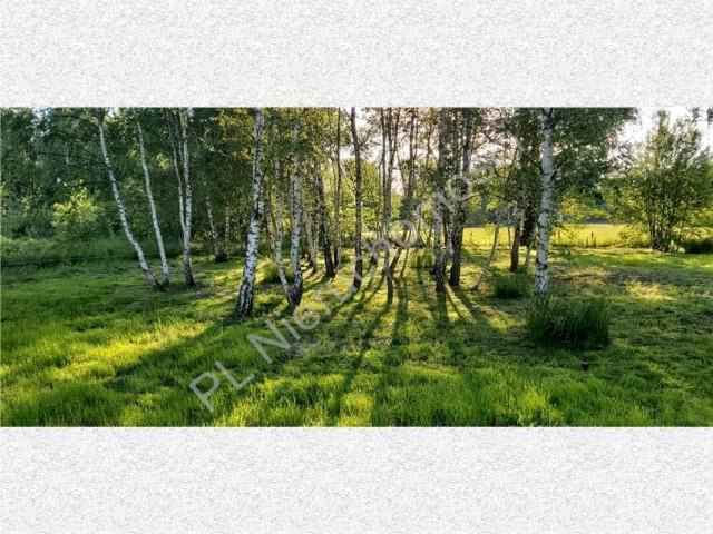 Działka 3 000 m², Radonie