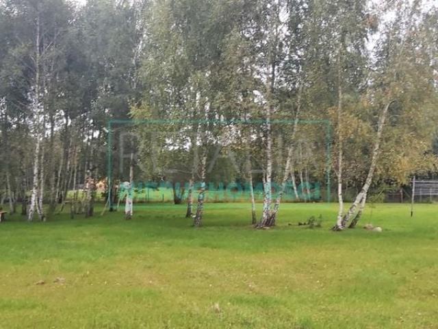 Działka 3 000 m², Radonie
