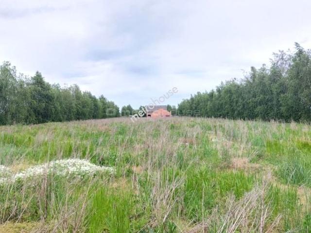 Działka 3 000 m², Radzewo