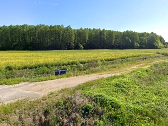 Działka 3 000 m², Rzepniki