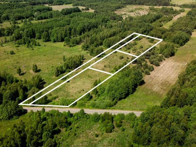 Działka 3 000 m², Wólka Dąbrowicka