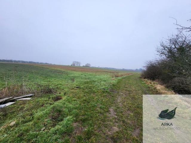 Działka 3 000 m², Warzymice