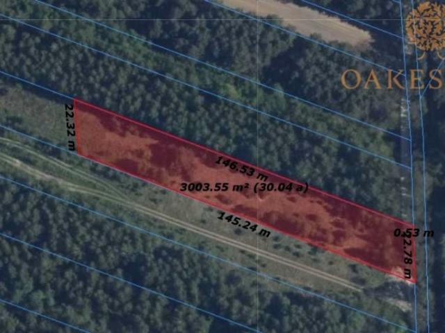 Działka 3 000 m², Warzyn Drugi