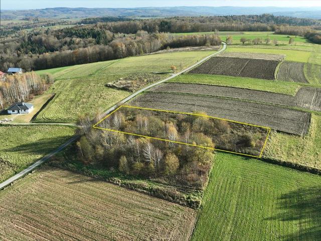 Działka 3 000 m² z widokiem, blisko lasów, media w drodze
