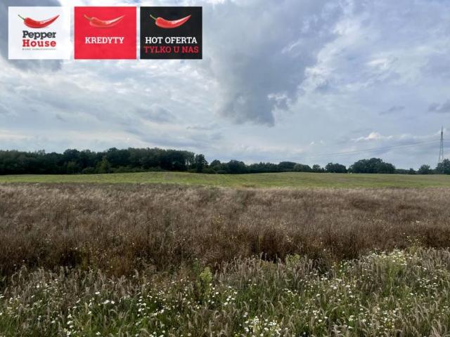 Działka 3 000,66 m², Elbląg