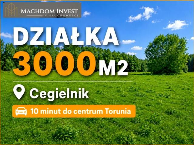 Działka 3 001 m², Cegielnik