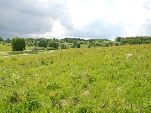 Działka 3 001 m², Bukwałd