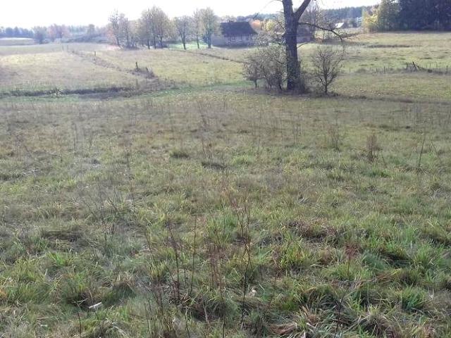 Działka 3 001 m², Żelkowo