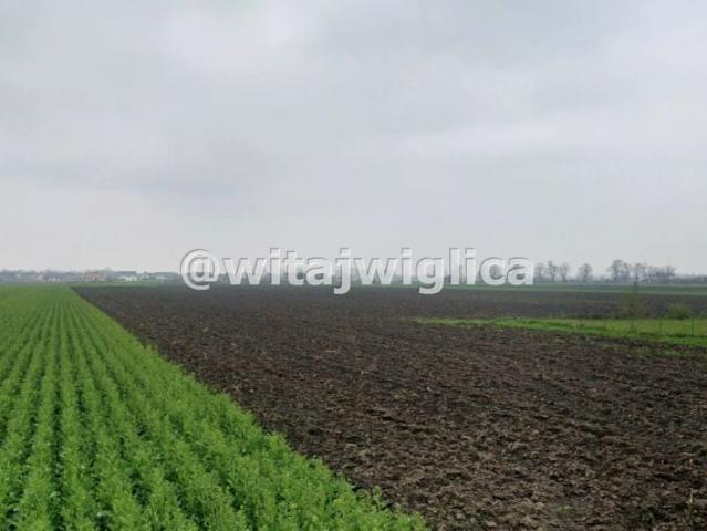 Działka 3 001 m², Żerniki Wrocławskie