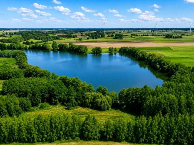 Działka 3 001 m², Laseczno