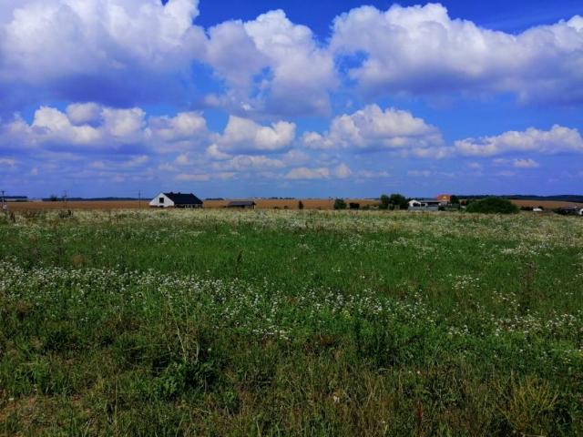 Działka 3 001 m², Moczyły