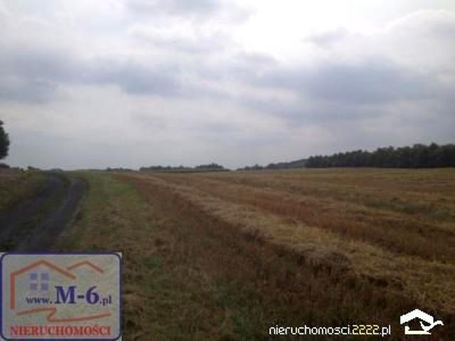 Działka 3 001 m², Skłudzewo