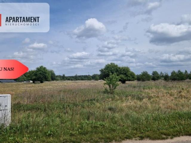 Działka 3 001 m², Pędzewo