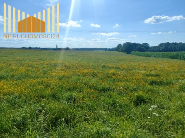Działka 3 001 m², Targowo