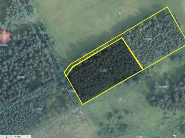 Działka 3 002 m², Dąbrówno