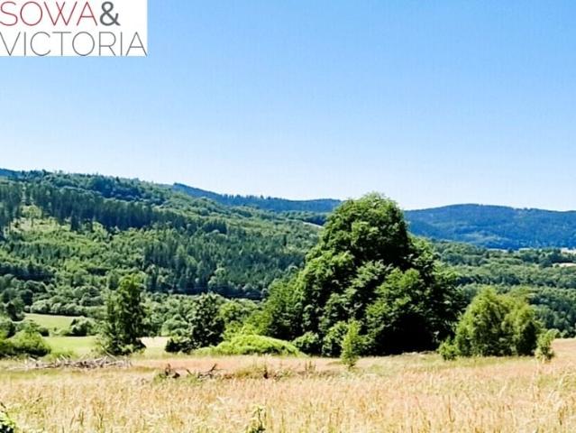 Działka 3 002 m², Kolce