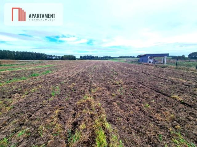 Działka 3 002 m², Niedamowo
