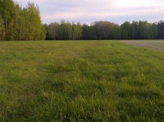 Działka 3 002 m², Rafałówka