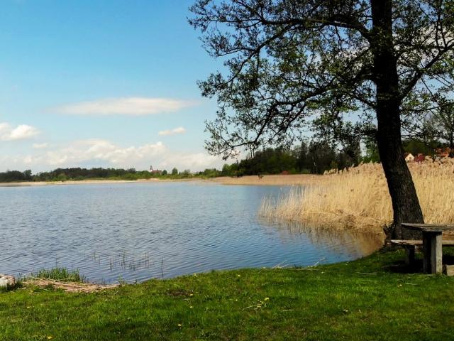 Działka 3 003 m², Sędki