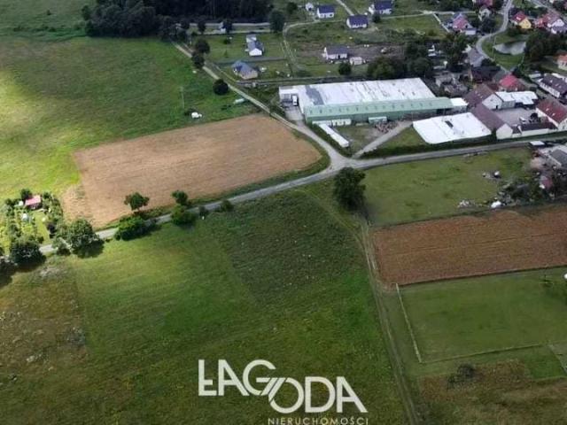Działka 3 003 m², Świniary