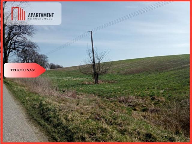 Działka 3 014 m², Kamień Krajeński