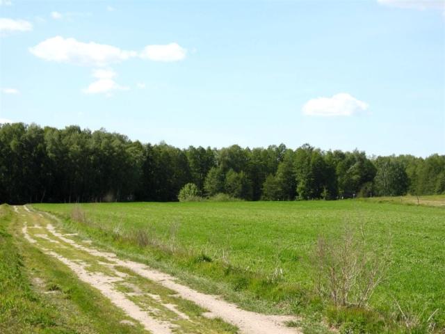 Działka 3 016 m², Szeplerzyzna