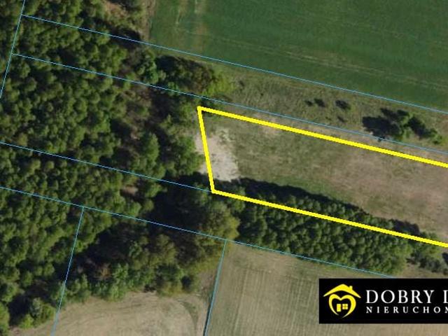 Działka 3 019 m², Kosmaty Borek