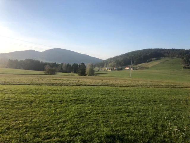 Działka 3 012 m², Piorunka
