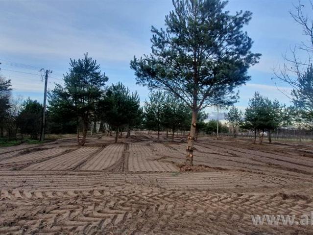 Działka 3 013 m², Częstoniew