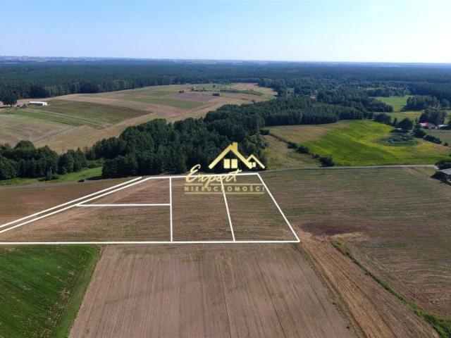Działka 3 013 m², Dziarny