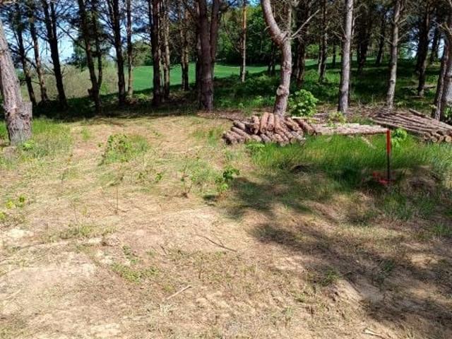 Działka 3 024 m², Lipy
