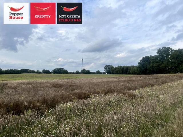 Działka 3 022,60 m², Elbląg