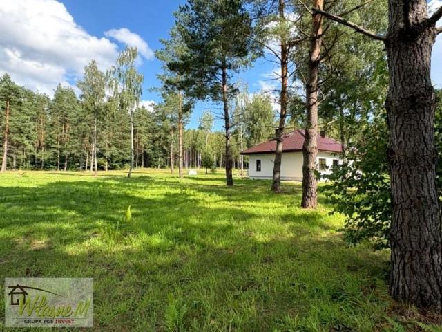 Działka 3 032 m², Wynki