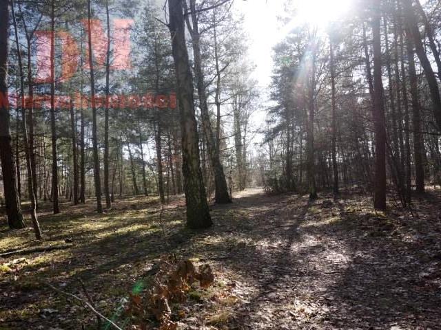 Działka 3 040 m², Józefów