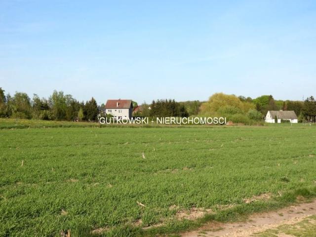 Działka 3 076 m², Szeplerzyzna