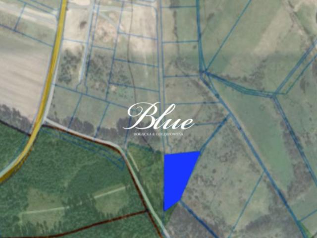 Działka 3 077 m², Niewiadowo