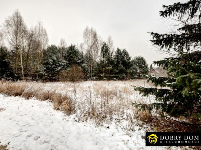 Działka 3 070 m², Czarna Wieś Kościelna