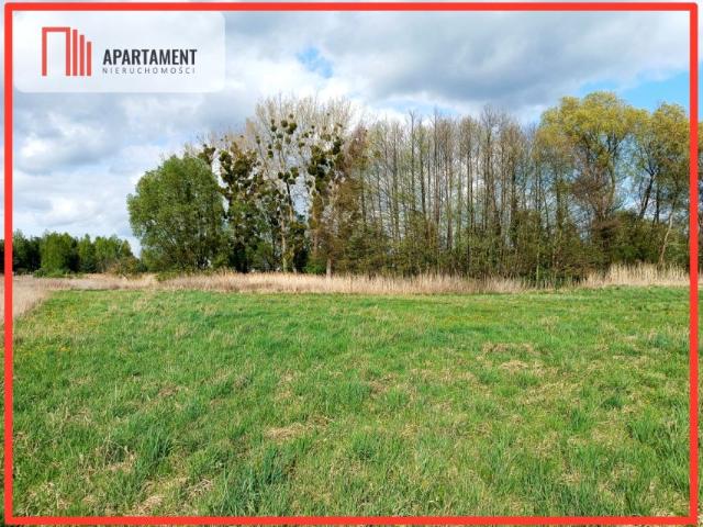 Działka 3 072 m², Dąbrowa Chełmińska