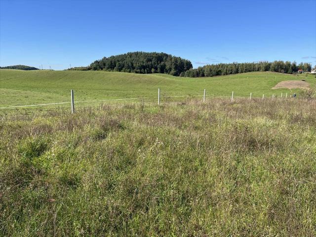 Działka 3 094 m² nad jeziorem w Dudkach – cisza i natura