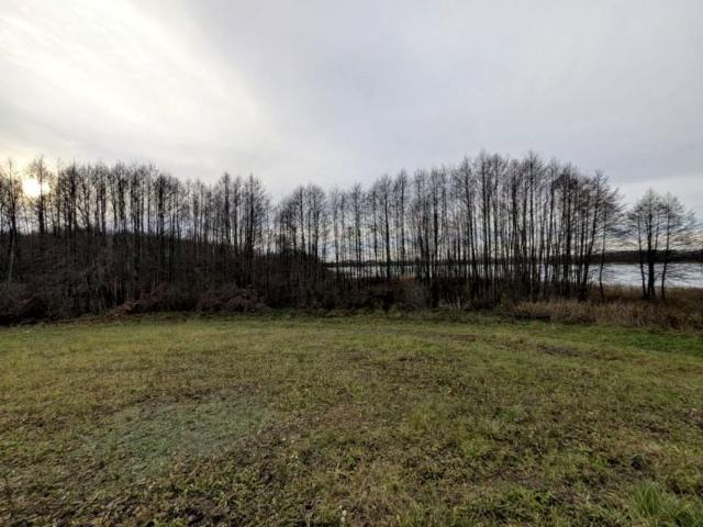 Działka 3 097 m², Rogale