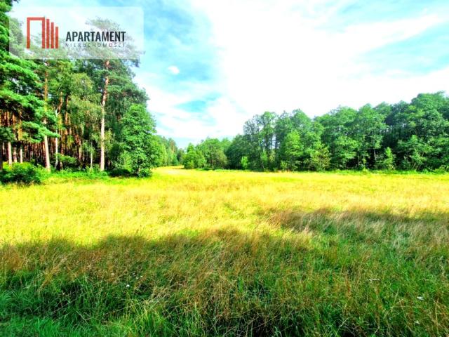 Działka 3 100 m², Biała