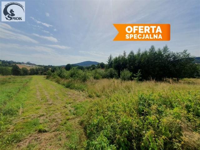 Działka 3 100 m², Żegocina