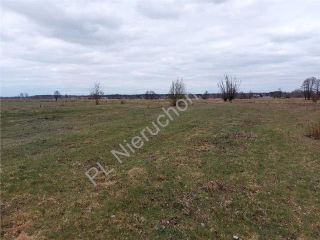 Działka 3 100 m², Krzywica