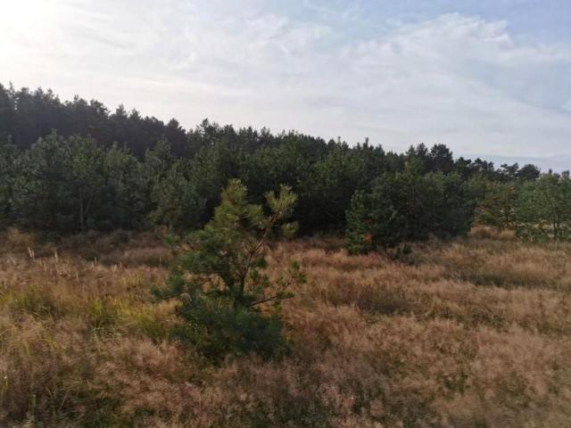 Działka 3 100 m², Staniewice